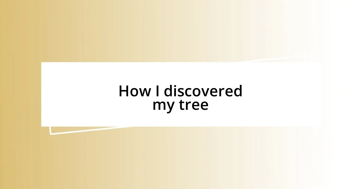 How I discovered my tree