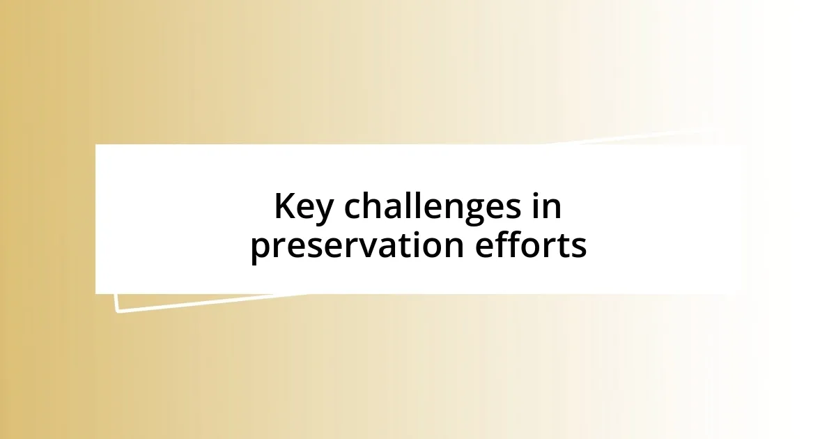 Key challenges in preservation efforts